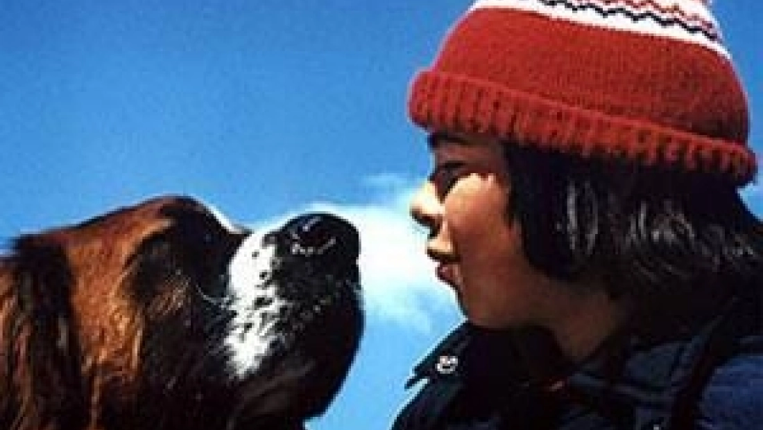 La Guerre des tuques