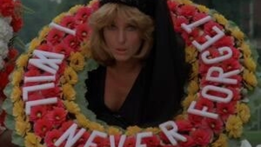 Les aventures d'une jeune veuve