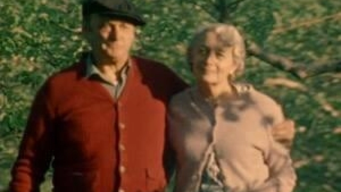 Les dernières fiançailles