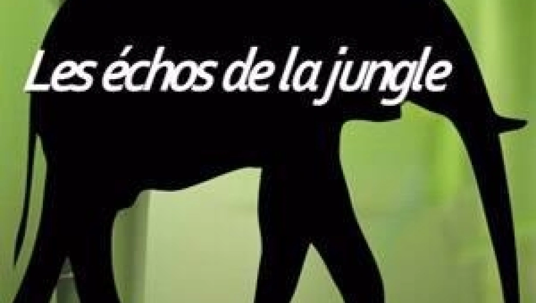 Les échos de la jungle