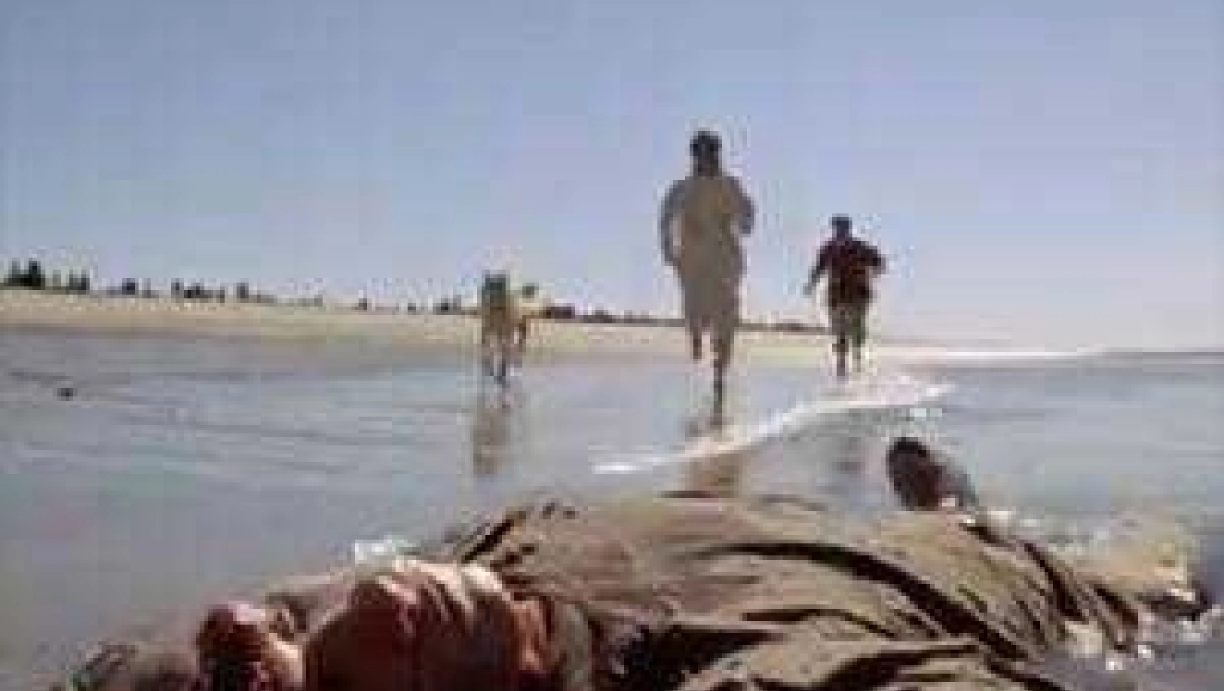 Le silence des fusils