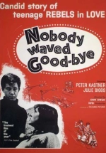 Nobody Waved Good-Bye