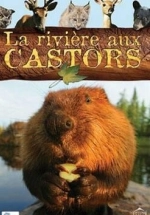 La rivière aux castors