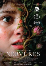 Nervures