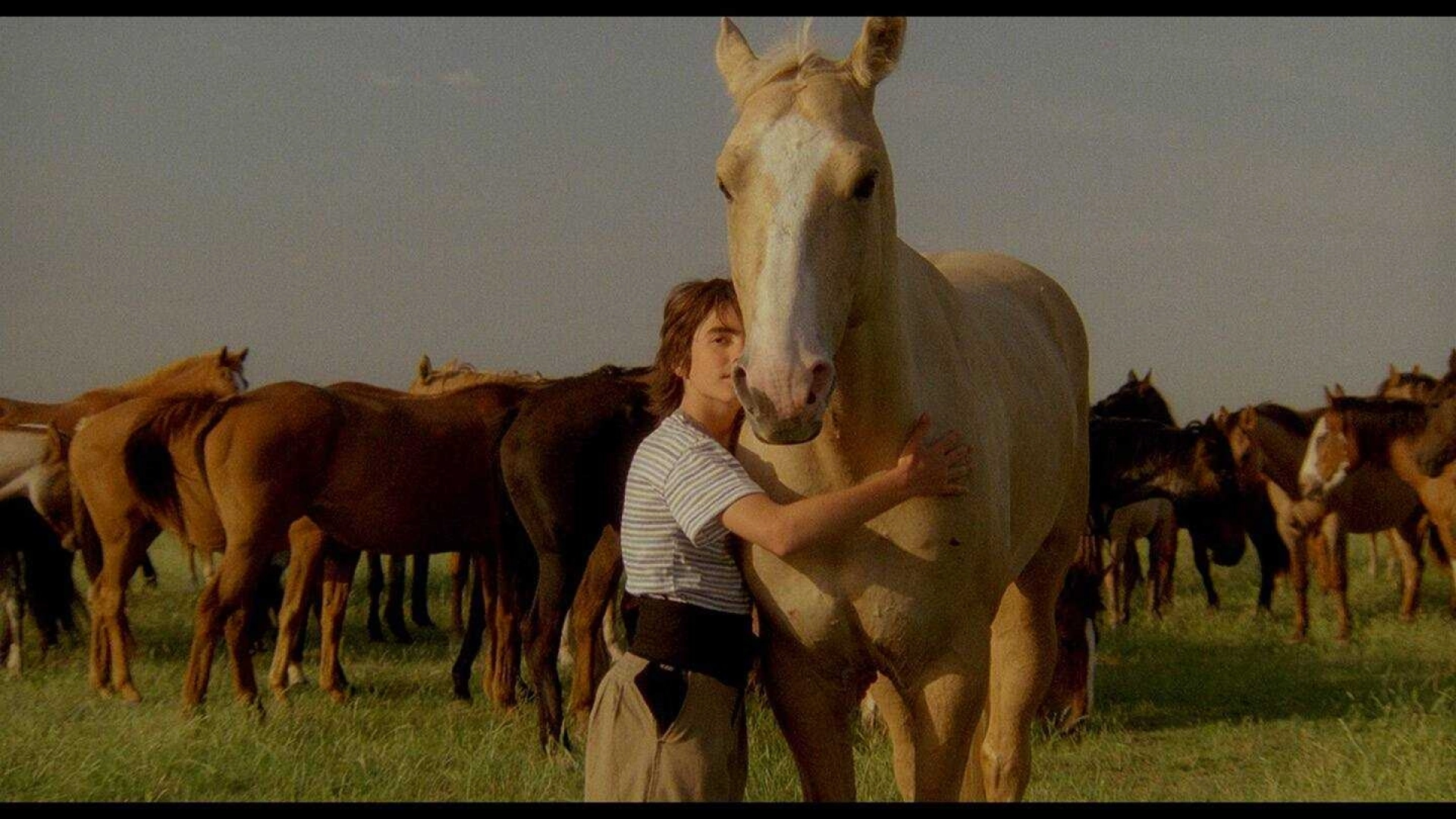 Fierro... l'été des secrets