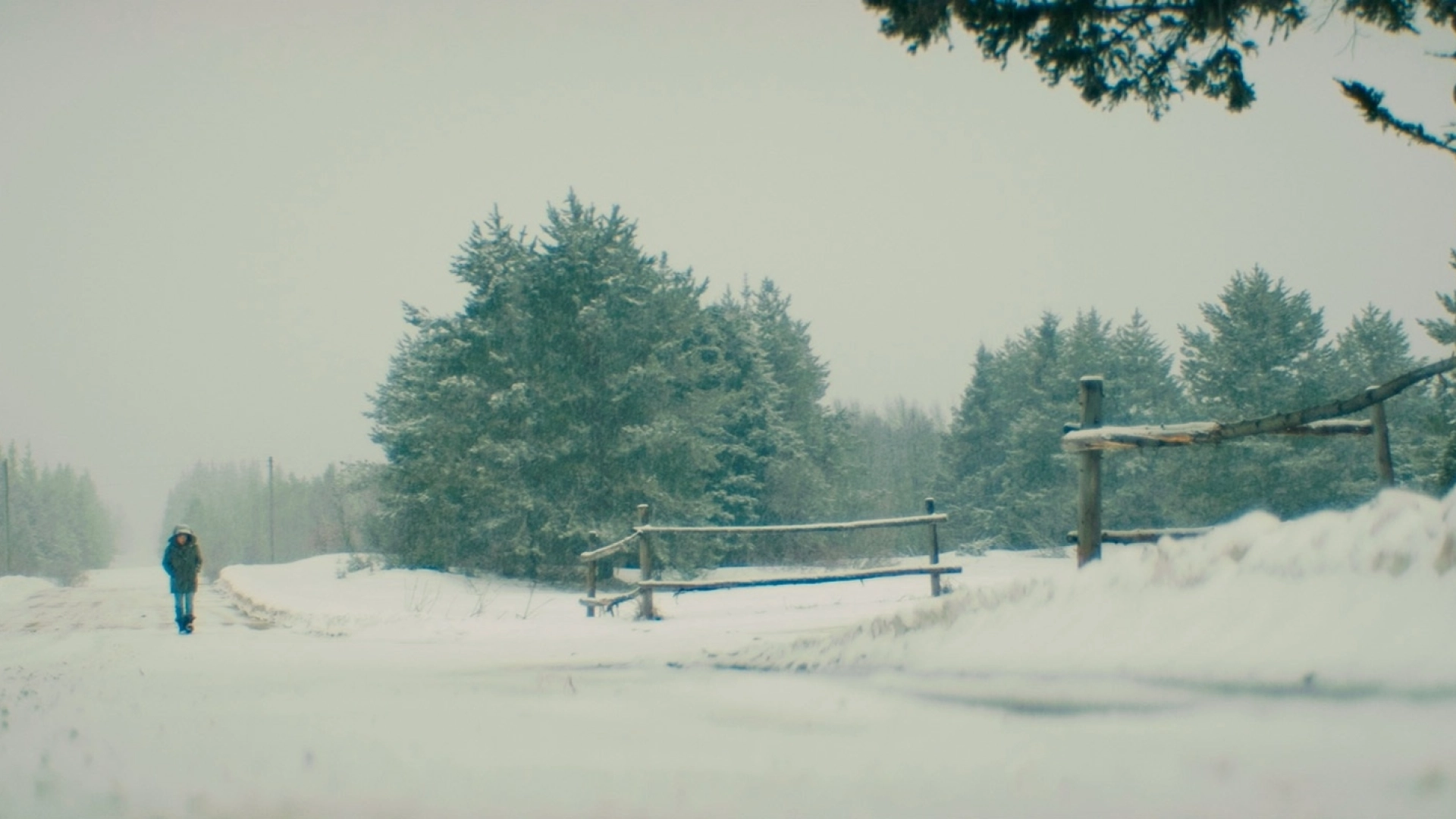 Extérieur Cath entete