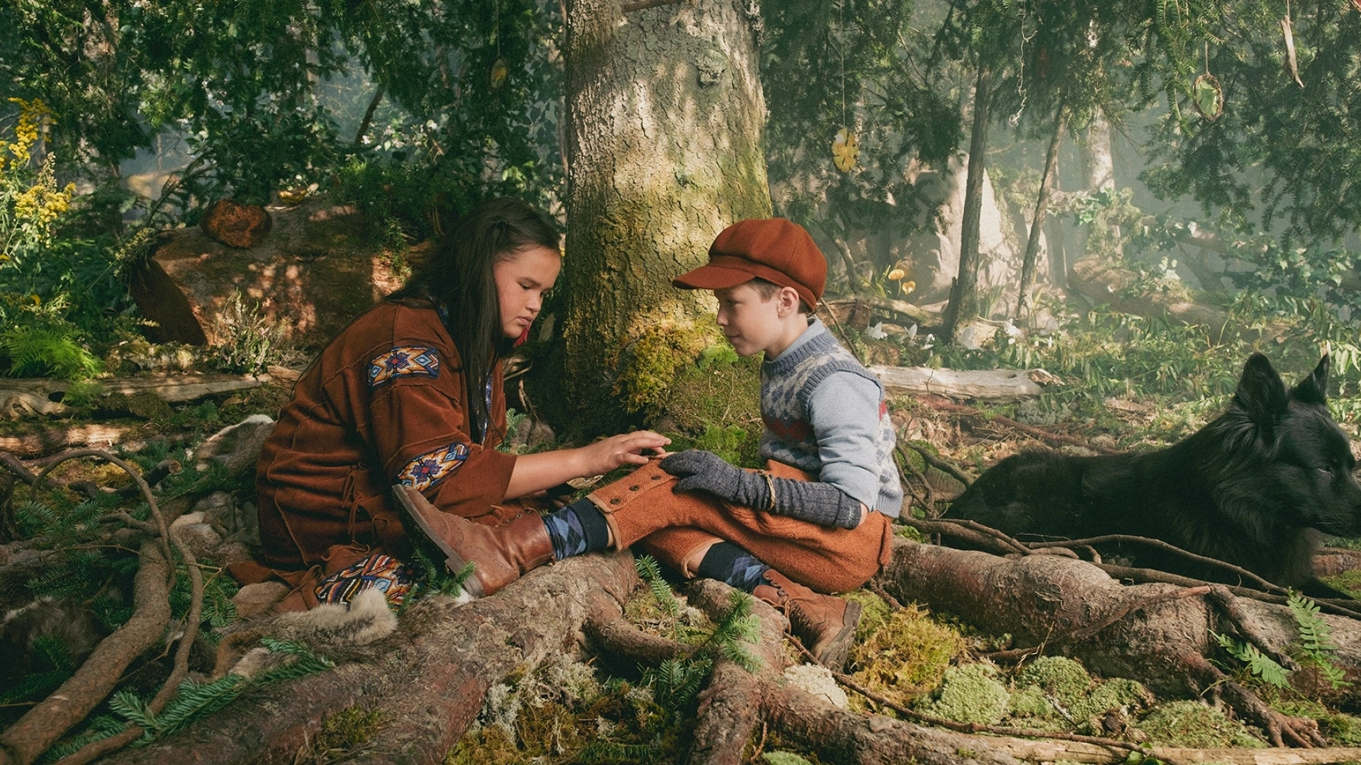 Julesaupaysdasha entete