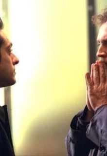 Chiens dans la neige