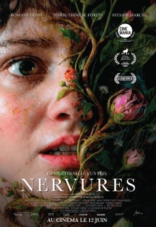 Nervures