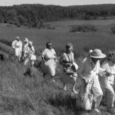 The Company of Strangers