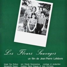 Les fleurs sauvages