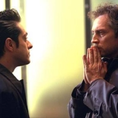 Chiens dans la neige