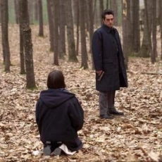 Chiens dans la neige