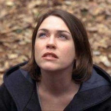 Chiens dans la neige