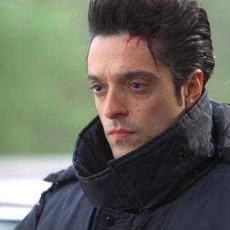 Chiens dans la neige