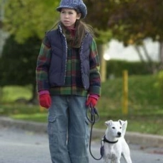 Daniel et les superdogs