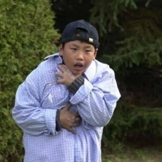 Daniel et les superdogs