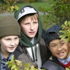 Daniel et les superdogs