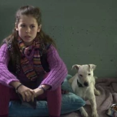 Daniel et les superdogs