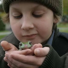 Daniel et les superdogs