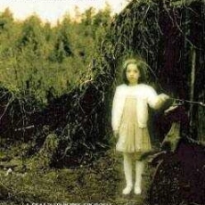 The Descendant