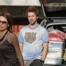 Les 3 p'tits cochons