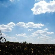 The Year Dolly Parton Was My Mom