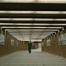 Là où Atilla passe