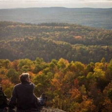 Là où Atilla passe