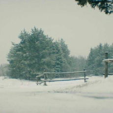 Snow Angel / La descente