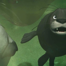 Katak, le brave béluga