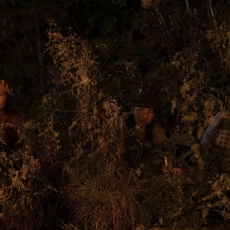 Jules au pays d'Asha