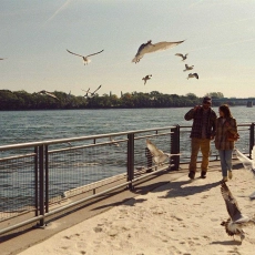 Simple comme Sylvain