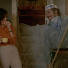 L'homme à tout faire