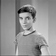 Le rossignol et les cloches