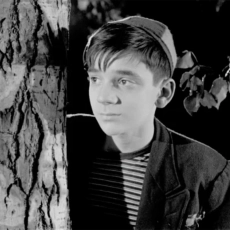 Le rossignol et les cloches