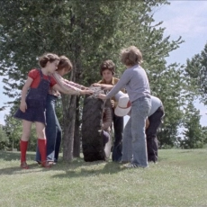 Comme les six doigts de la main