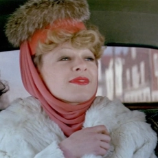 Les corps célestes