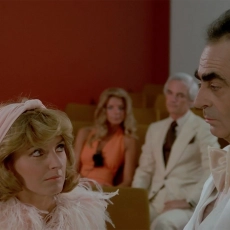 Les aventures d'une jeune veuve