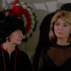 Les aventures d'une jeune veuve