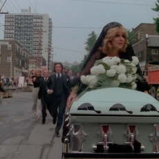 Les aventures d'une jeune veuve