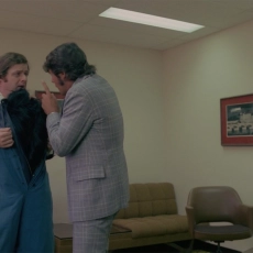 Les aventures d'une jeune veuve