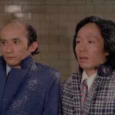 Les aventures d'une jeune veuve