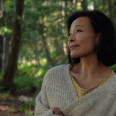 Montréal, ma belle