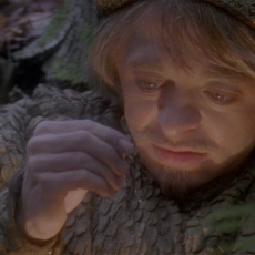 The Great Land of Small