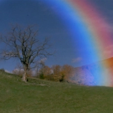 The Great Land of Small