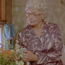 Les fleurs sauvages