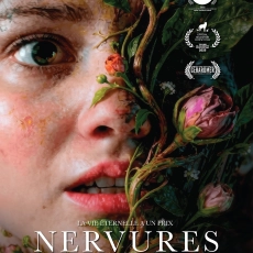 Nervures