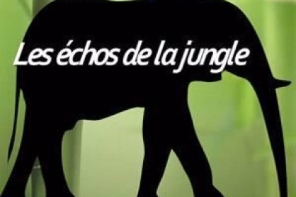 Les échos de la jungle